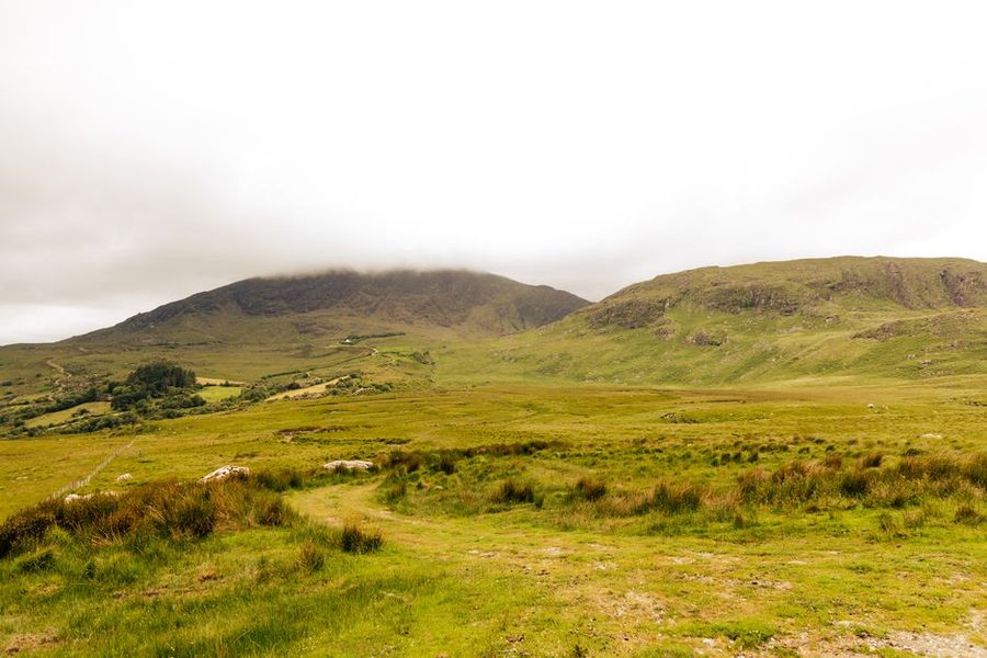 How to Choose the Best Summer Courses in Ireland - Study English in Ireland